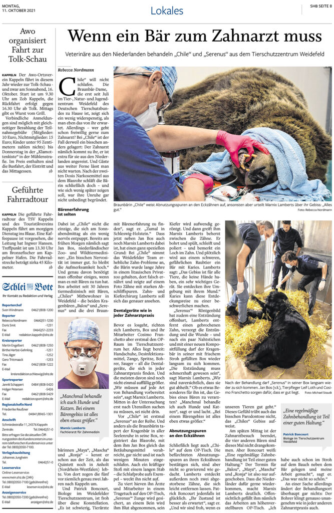 SchleiBote_Wenn ein Baer zum Zahnarzt muss
